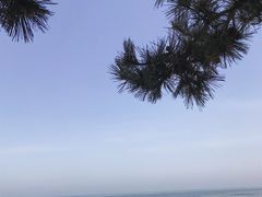 -日照灯塔风景区