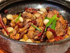 -欧记大排档·景德菜(上海首店)