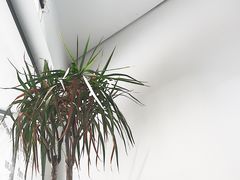 -Badmarket(庙前西街店)