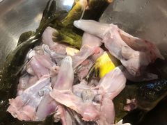 -石锅苗苗鱼(武汉首店)