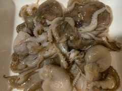章鱼-松坂屋日料自助(长城路店)