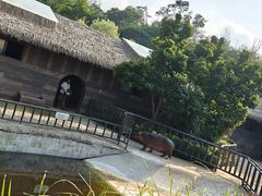 -济南野生动物世界
