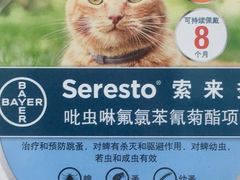 -佳雯宠物医院(金华南路分院)