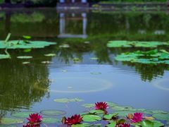 -国家植物园南园