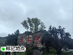 -王莽岭风景区