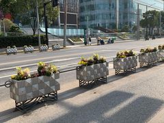 -北外滩滨江绿地