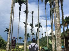 -海南槟榔谷黎苗文化旅游区