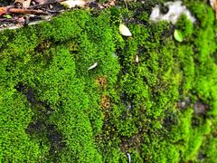 -西南交通大学(峨眉校区)