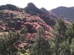 -空心山旅游区
