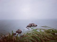 -阿军排档·烧烤