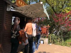 -杭州半山国家森林公园