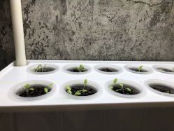 -摩睫+皮肤管理·科学美容中心