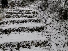 -宝鼎风景区