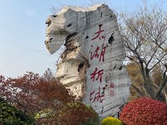 -贡湖湾湿地公园