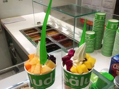 -Salud撒露欧洲冻酸奶(北苑上品店)