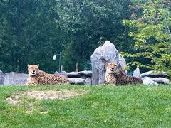 -北京野生动物园