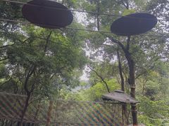 -天鹿湖森林公园