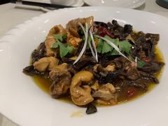 小鸡炖蘑菇-松花湖水饺(新濠天地店)