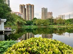 -晓港公园