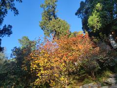 -香山公园