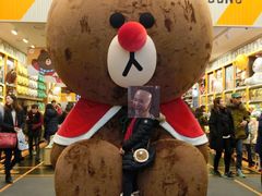 -line friends(明洞旗舰店)