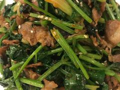 孜然炒羊肉-那达慕蒙古风味酒楼