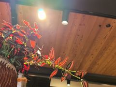 -云尊府云南菜·蒸汽石锅鱼(学清路店)