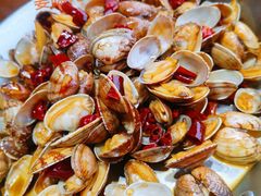 辣炒青岛花蛤-必点海鲜·鲅鱼水饺(鞍山西道店)
