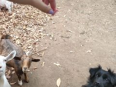 -杭州师范大学(下沙校区)