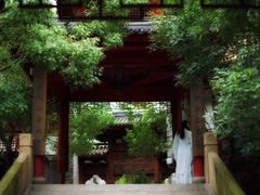 -龙潭水乡