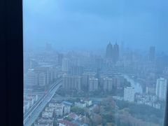 -上海龙之梦万丽酒店