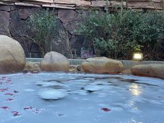 -北京益泉花园酒店