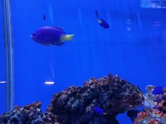-秦皇岛新澳海底世界