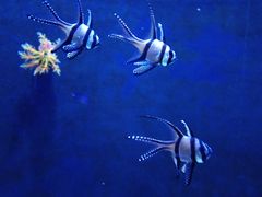 -成都浩海立方海洋公园