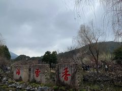 -香雪海