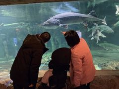 -华夏文旅海洋公园