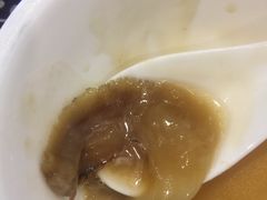 -大中鱼翅 Taitong Shark Fin