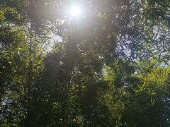 -同里国家湿地公园