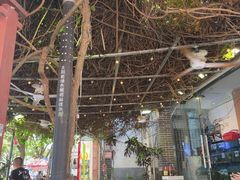 -Sasa的海(蜈支洲岛后海店)