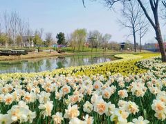 -洪湖生态旅游区