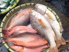 -海口骑楼老街历史文化街区