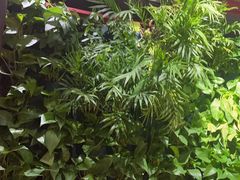-巴奴毛肚火锅(广益哥伦布店)
