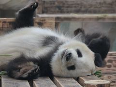 -无锡动物园·太湖欢乐园