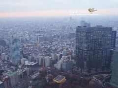 -东京都厅舍