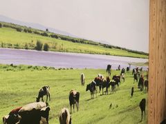 -蒙艾里民族传统菜蒙餐