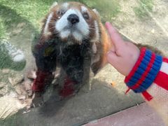 -常州淹城野生动物世界