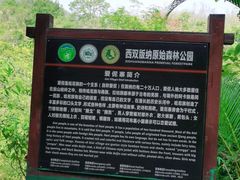 -西双版纳原始森林公园