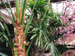 -世外桃源农庄·德清土菜(兴康南路店)