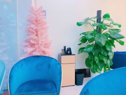 -DEM缔怡美科技美容