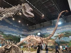 -自贡恐龙博物馆